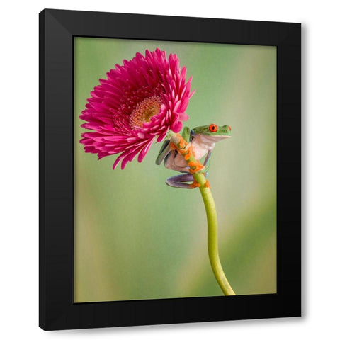 Lookout Black Modern Wood Framed Art Print by Schneider, Cheryl