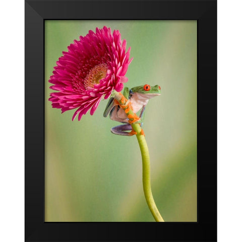 Lookout Black Modern Wood Framed Art Print by Schneider, Cheryl