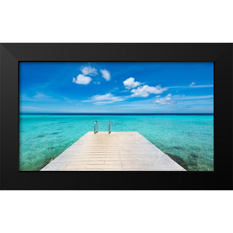 Caribbean Dream Black Modern Wood Framed Art Print by Leske, Mike