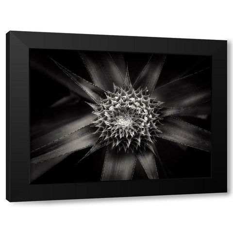 Barbed Black Modern Wood Framed Art Print by Sannwald, Joerg