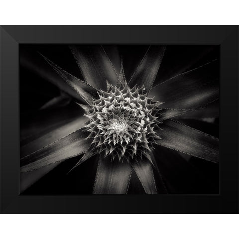Barbed Black Modern Wood Framed Art Print by Sannwald, Joerg