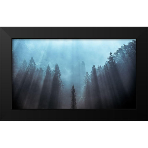 Light To Be Believed Likely Black Modern Wood Framed Art Print by Fujii, Tsuneya