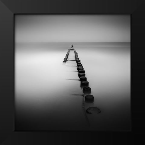 One Black Modern Wood Framed Art Print by Rericha, Daniel