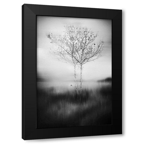 That Tree Black Modern Wood Framed Art Print with Double Matting by Perez Acevedo, Lisandro
