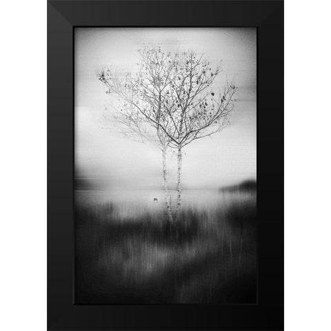 That Tree Black Modern Wood Framed Art Print by Perez Acevedo, Lisandro