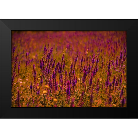 Violets Black Modern Wood Framed Art Print by Heidari, Ali