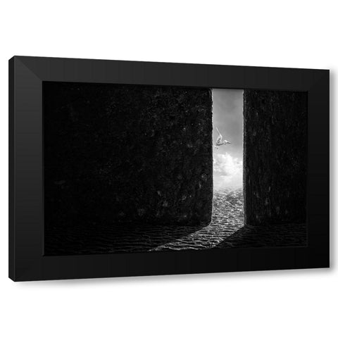 The White Bird Black Modern Wood Framed Art Print by Almawash, Sulaiman