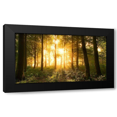Light In The Forest. Black Modern Wood Framed Art Print by Londal, Leif