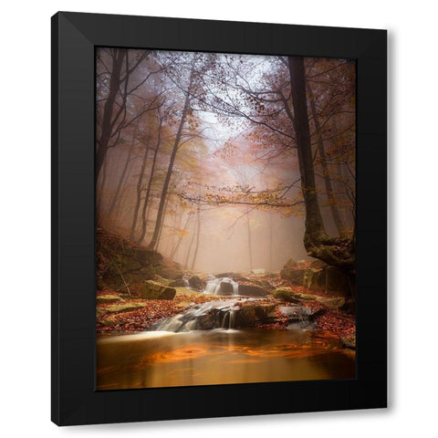 Mistyc Mist Black Modern Wood Framed Art Print by Menendez Covelo, Ramon