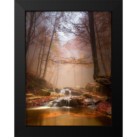 Mistyc Mist Black Modern Wood Framed Art Print by Menendez Covelo, Ramon