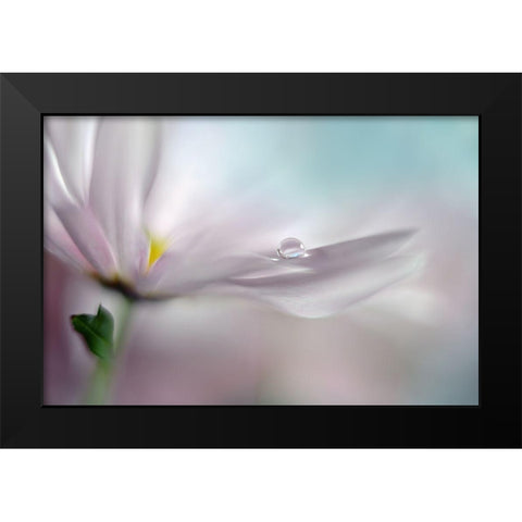 Where Dreams Come True Black Modern Wood Framed Art Print by Westum, Heidi