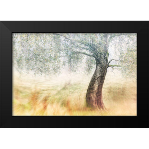 Twisted Dream Black Modern Wood Framed Art Print by Davidsson, Gustav