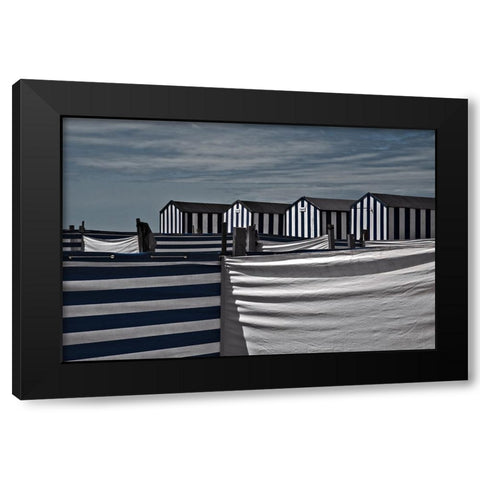 Territorial Behavior Black Modern Wood Framed Art Print by Claes, Gilbert