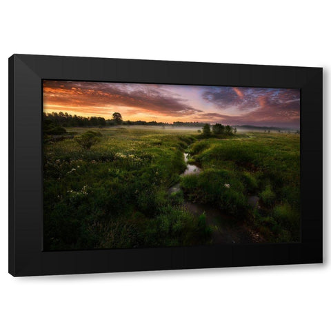 Morning On Kesma River Black Modern Wood Framed Art Print by Volkov, Kirill