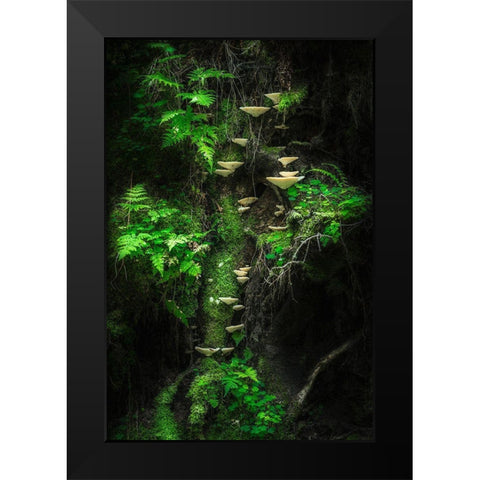Mushroom Wall Black Modern Wood Framed Art Print by Damsten, Petri