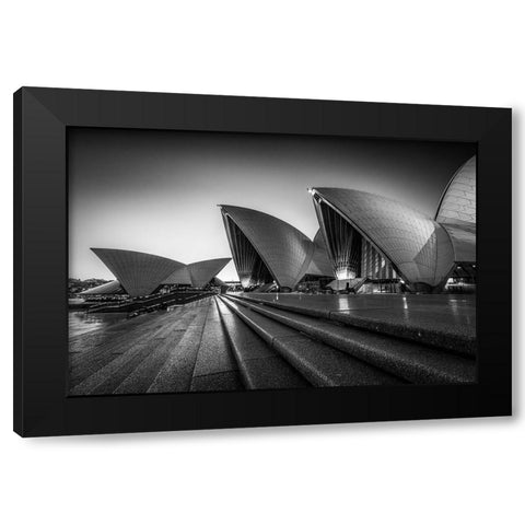 In Silhouette Black Modern Wood Framed Art Print by Fan, Tim