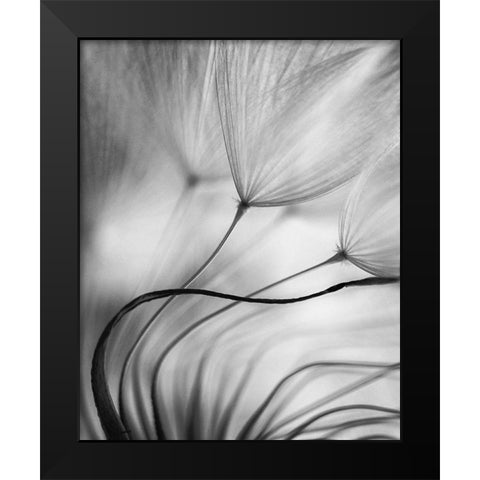Lean On Me Black Modern Wood Framed Art Print by Or, Keren