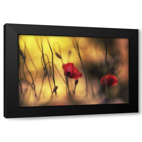 Untitled Black Modern Wood Framed Art Print with Double Matting by Or, Keren