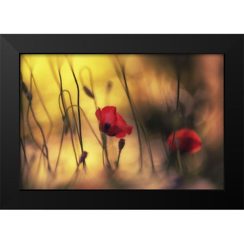 Untitled Black Modern Wood Framed Art Print by Or, Keren