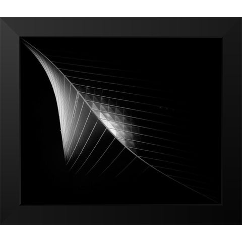 Scimitar 3 ( The Eclipse) Black Modern Wood Framed Art Print by Thabet, Ahmed