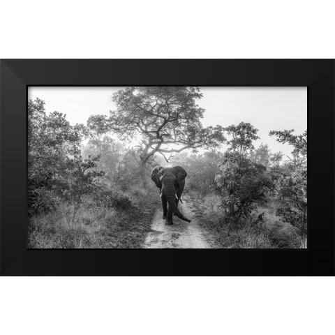 Walking Giant Black Modern Wood Framed Art Print by Marx, Jaco