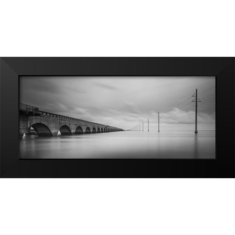 Birds Talking Black Modern Wood Framed Art Print by Lionse, Art