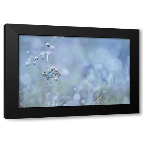 One Thread Black Modern Wood Framed Art Print by Mijer, Wil