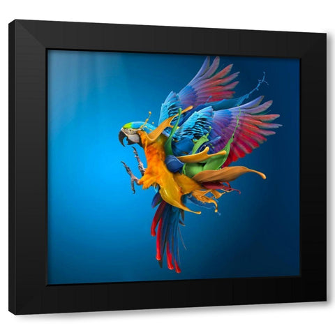 Flying Colours Black Modern Wood Framed Art Print with Double Matting by Almawash, Sulaiman
