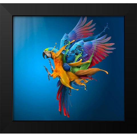 Flying Colours Black Modern Wood Framed Art Print by Almawash, Sulaiman