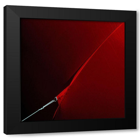 Anchored Black Modern Wood Framed Art Print with Double Matting by Claes, Gilbert