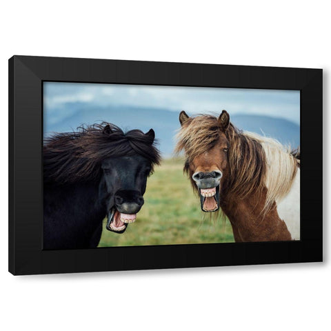 Wild Smile Black Modern Wood Framed Art Print with Double Matting by Amos, Nir