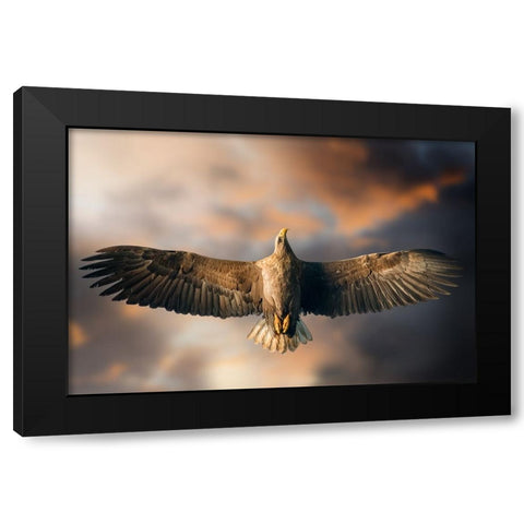 The Last Flight Black Modern Wood Framed Art Print by Ghizzi Panizza, Alberto