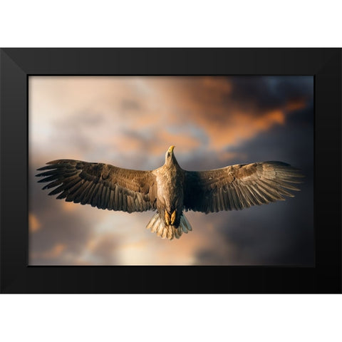The Last Flight Black Modern Wood Framed Art Print by Ghizzi Panizza, Alberto