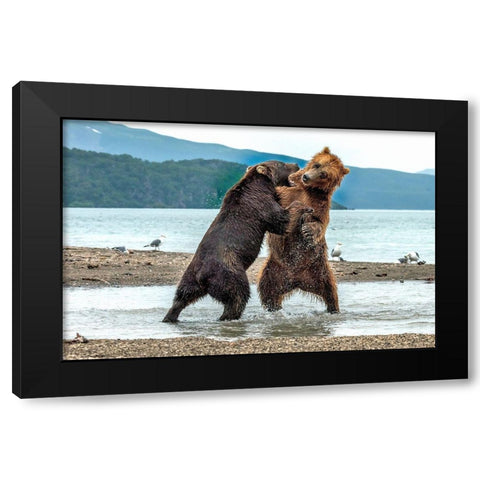 Quarrels Black Modern Wood Framed Art Print by Damico, Giuseppe