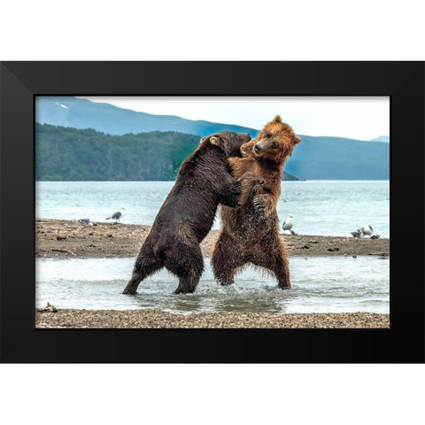 Quarrels Black Modern Wood Framed Art Print by Damico, Giuseppe