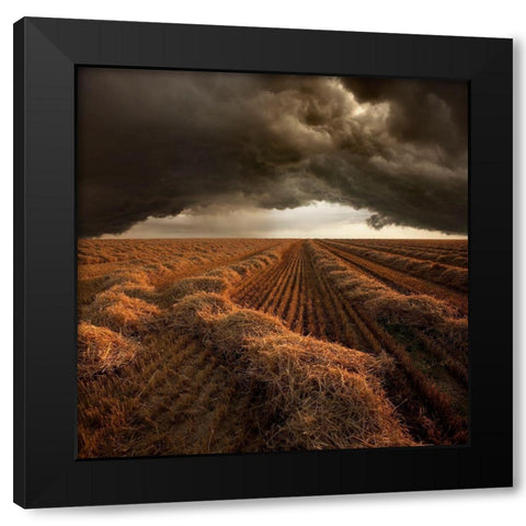Untitled Black Modern Wood Framed Art Print with Double Matting by Schumacher, Nicolas