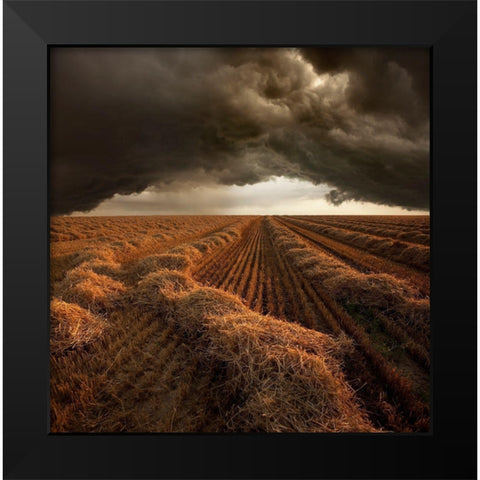 Untitled Black Modern Wood Framed Art Print by Schumacher, Nicolas