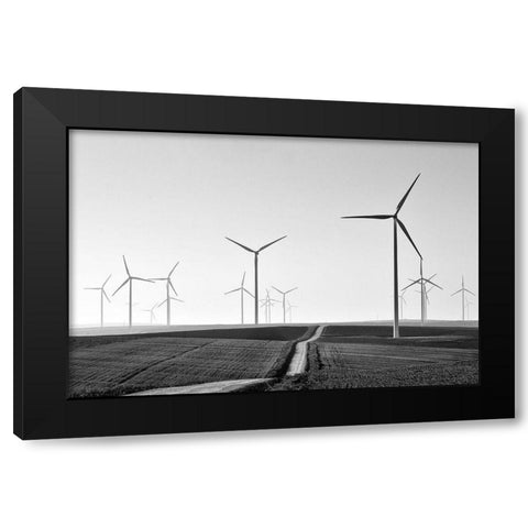 Winding Black Modern Wood Framed Art Print by Avramescu, Emilian