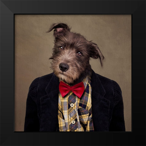 Shelter Pets Project - Ombrac Black Modern Wood Framed Art Print by Swarek, Tammy