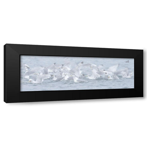 Breaking The Surface Black Modern Wood Framed Art Print by Marchegiani, Roberto