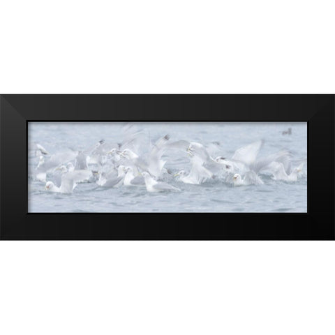 Breaking The Surface Black Modern Wood Framed Art Print by Marchegiani, Roberto