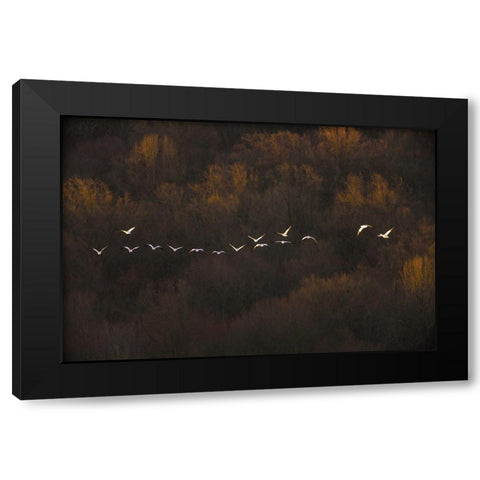 Morning Mood Black Modern Wood Framed Art Print with Double Matting by Li, Austin