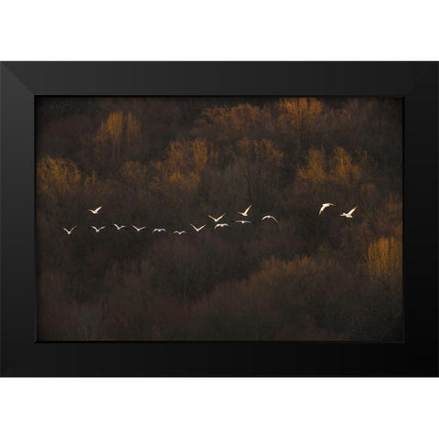 Morning Mood Black Modern Wood Framed Art Print by Li, Austin