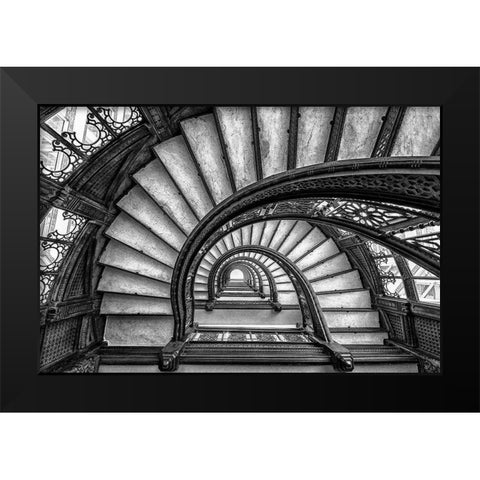 The Rookery Black Modern Wood Framed Art Print by Sun, Yimei