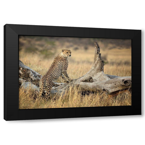 Strong Black Modern Wood Framed Art Print by Doyle, Renee