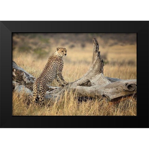 Strong Black Modern Wood Framed Art Print by Doyle, Renee