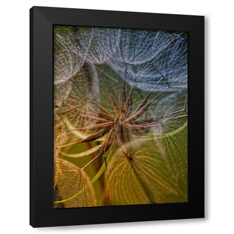 Inside Black Modern Wood Framed Art Print by Mathiesen, Kent