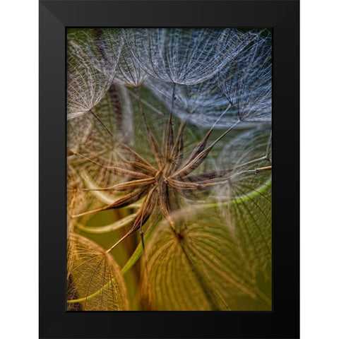 Inside Black Modern Wood Framed Art Print by Mathiesen, Kent