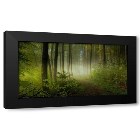 Early Fall Black Modern Wood Framed Art Print with Double Matting by Maier, Norbert