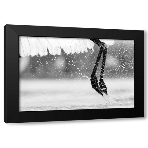 Taking Off Black Modern Wood Framed Art Print with Double Matting by Zuo, Jun